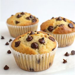 Low Carb Chocolate Chip Muffins Recipe