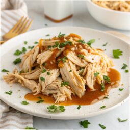 Instant Pot Shredded Chicken Recipe